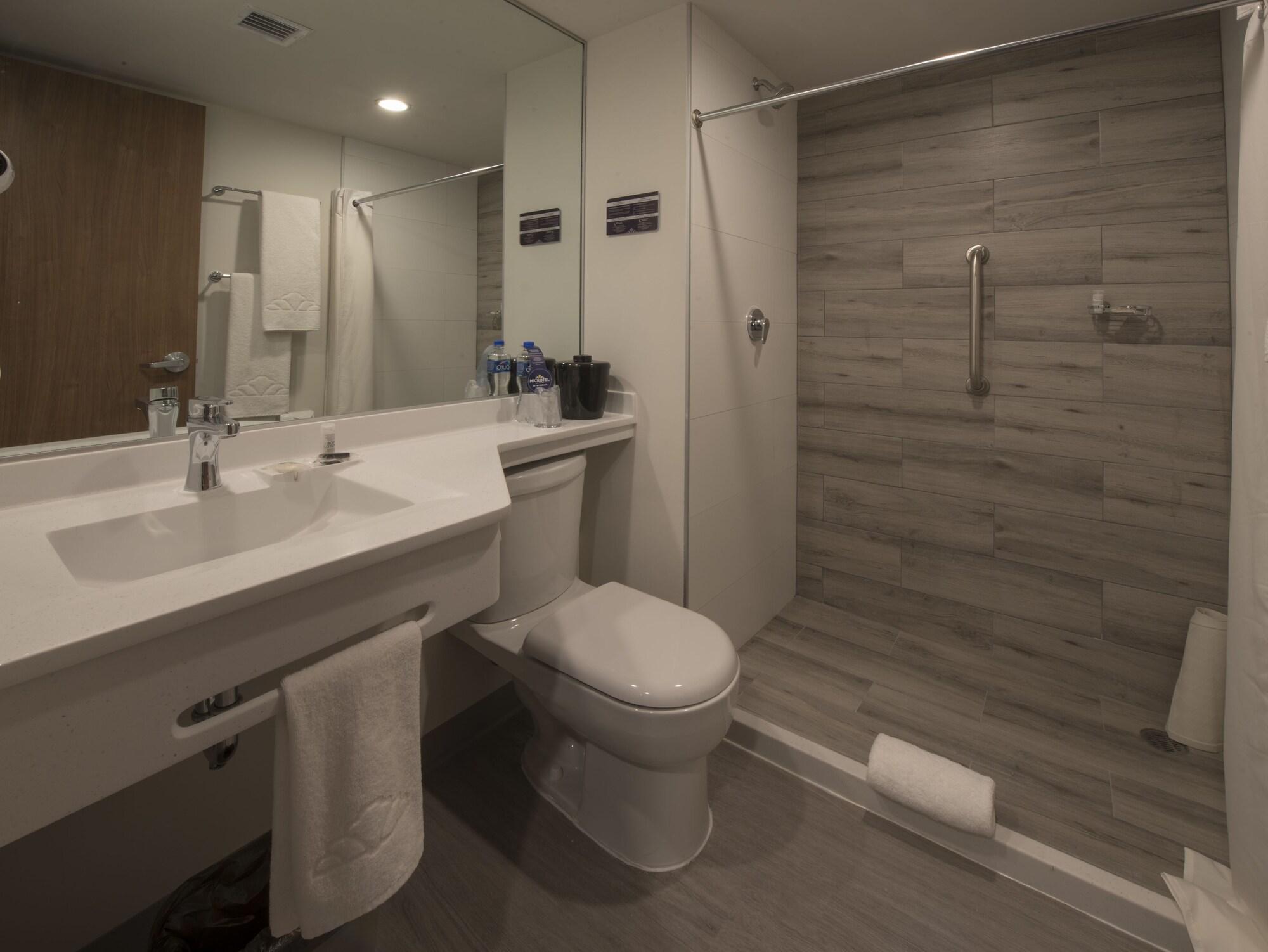 Microtel Inn & Suites By Wyndham Irapuato Extérieur photo